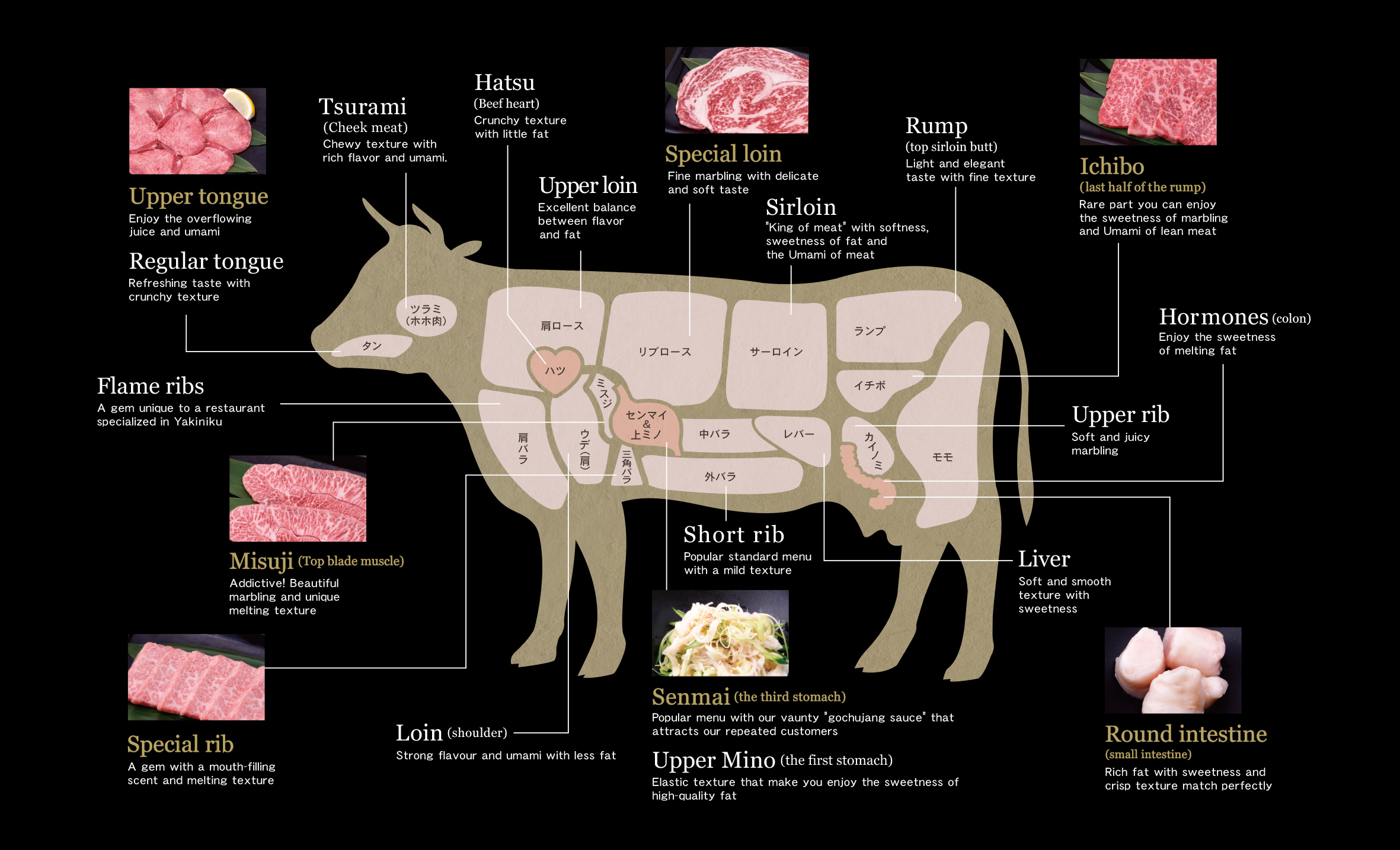 焼肉工房「團」 牛肉 部位 部位ごとの旨み